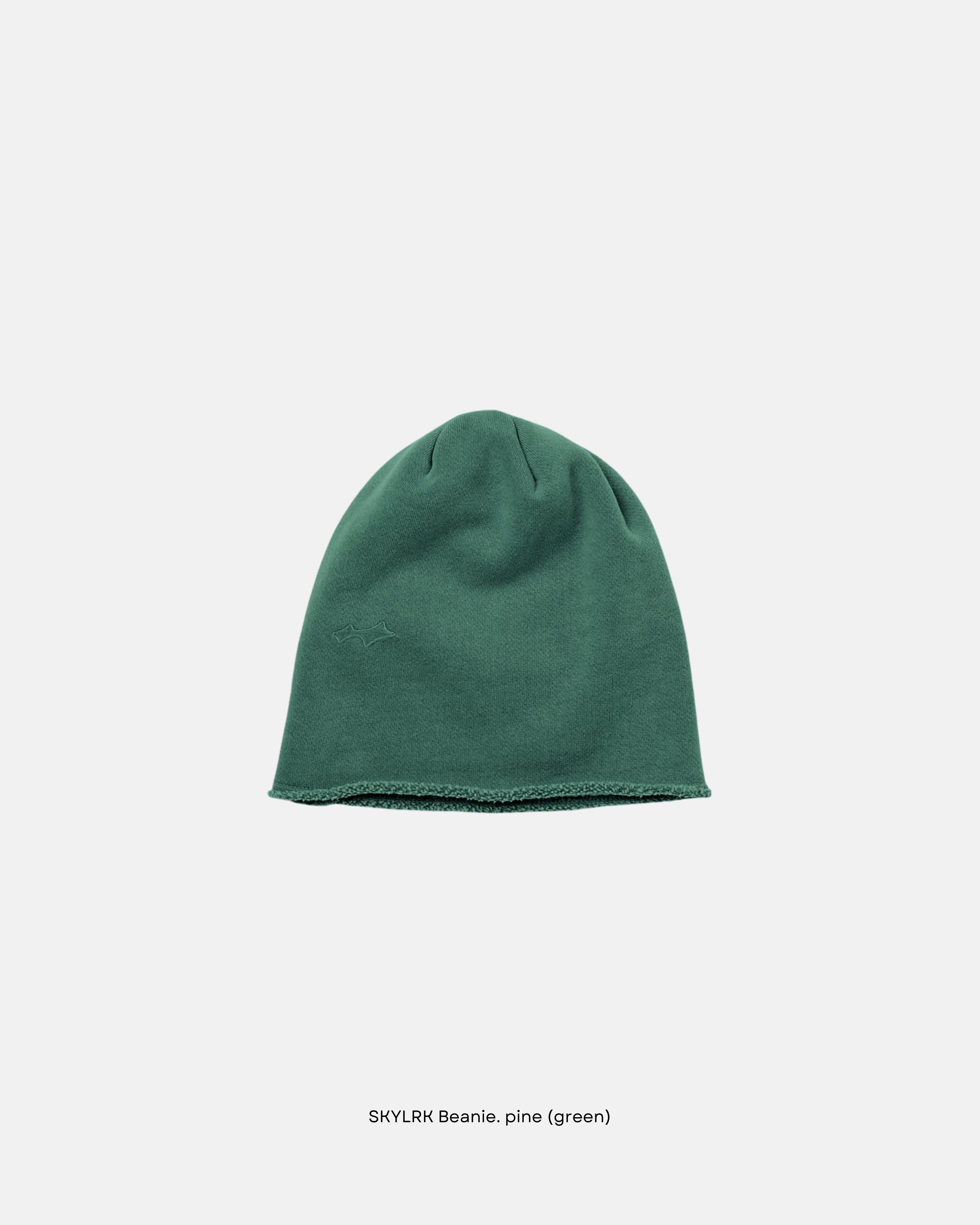 SKYLRK Beanie